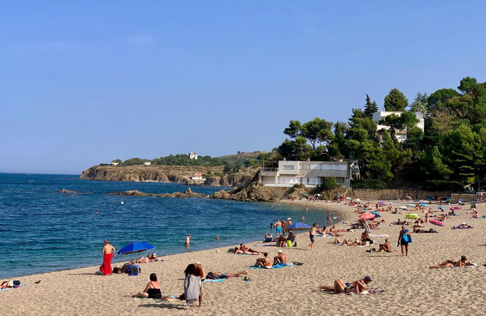 Studio 07 Argeles Sur Mer . La Plage A Pied, L'Espagne A 30 Mn Exterior foto